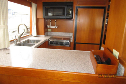 Symbol "45" Pilothouse