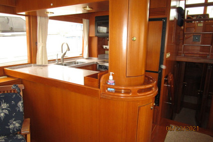 Symbol "45" Pilothouse