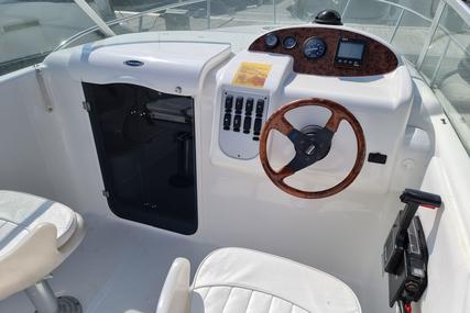 Sessa Marine Islamorada 21