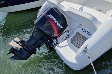 Sessa Marine Islamorada 21