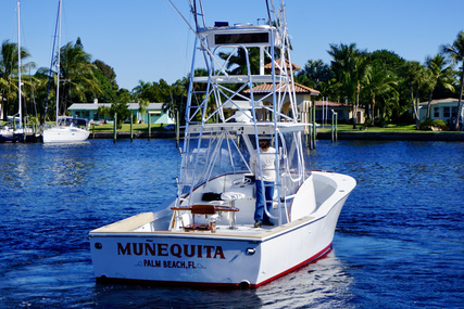 L&H Walkaround Sportfish