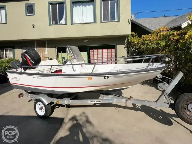 Boston Whaler 13 Dauntless