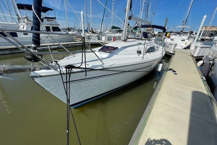 Catalina 309 with Generator