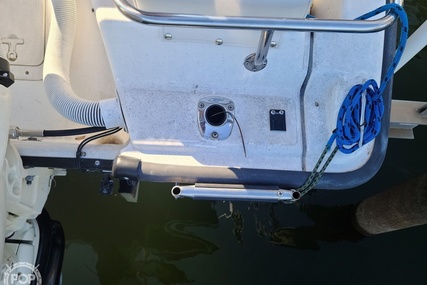 Boston Whaler 16 Dauntless