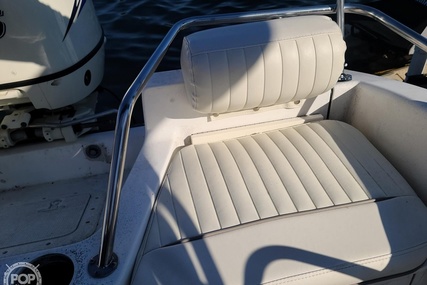 Boston Whaler 16 Dauntless