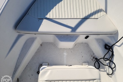 Boston Whaler 16 Dauntless