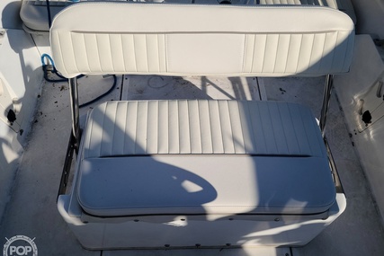 Boston Whaler 16 Dauntless