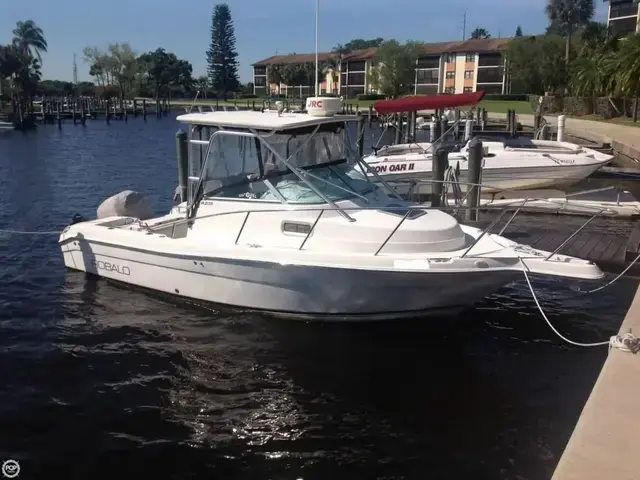 Robalo 235 WA