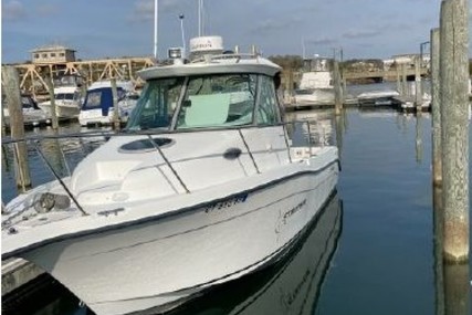 Seaswirl Striper 2601