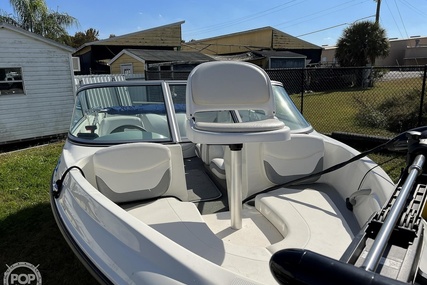 Bayliner 174 SF