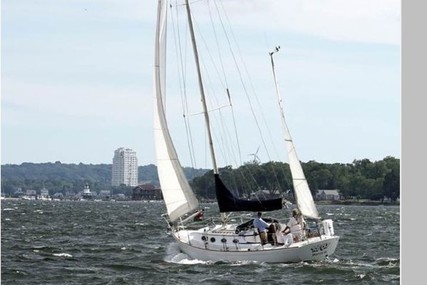 Alerion Express 38 Yawl