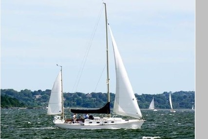 Alerion Express 38 Yawl