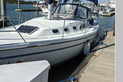 Catalina 34 Mkii Wing Keel