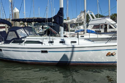 Catalina 34 Mkii Wing Keel