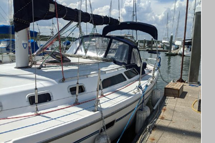 Catalina 34 Mkii Wing Keel