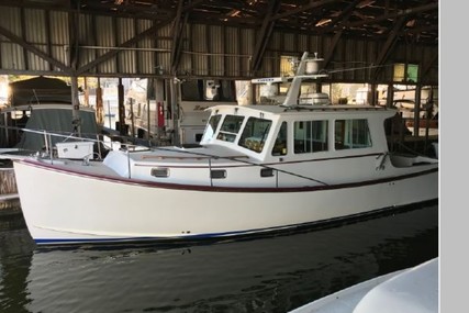 Northern Bay 38