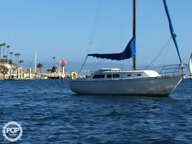 Islander 29