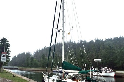 Tayana Flying Dutchman 12