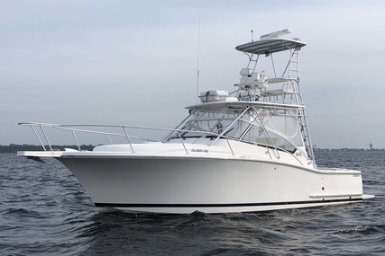 Luhrs 30 Open