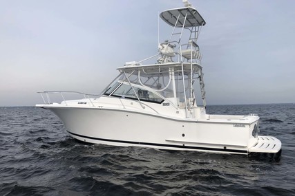 Luhrs 30 Open