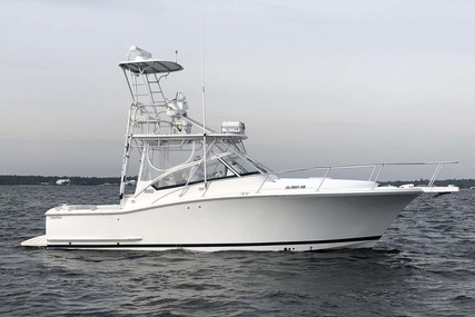 Luhrs 30 Open