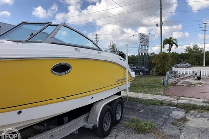 Chaparral 264 sunsesta