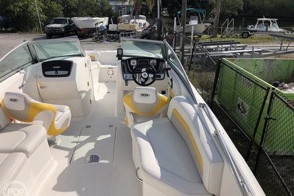 Chaparral 264 sunsesta