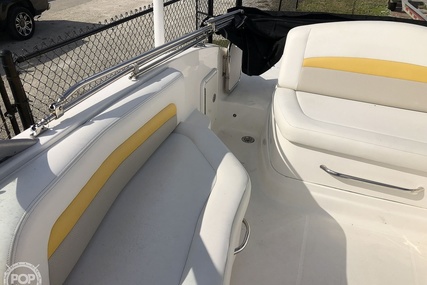 Chaparral 264 sunsesta