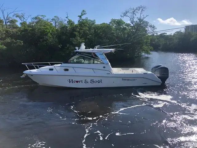 Everglades 320 Ex