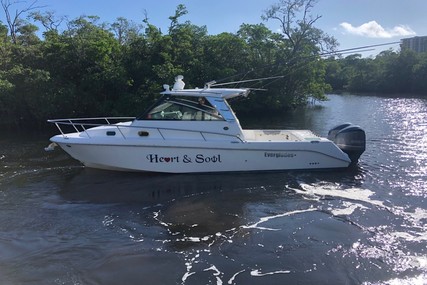 Everglades 320 Ex