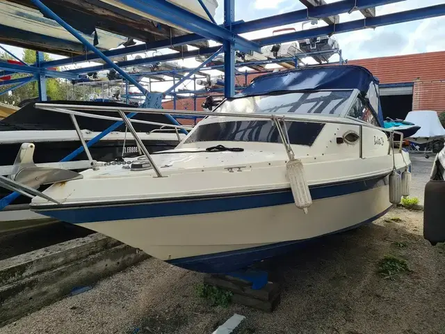 Sunbird BARLETTA 204