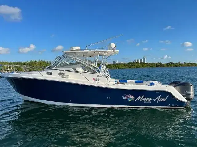 Edgewater 335 Express