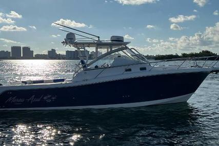 Edgewater 335 Express