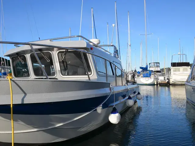 Kingfisher 28