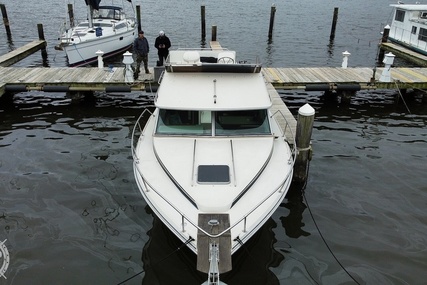 Sea Ray 300 Sedan Bridge