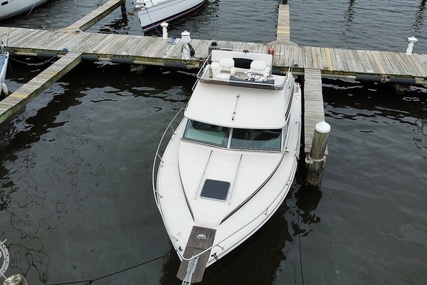 Sea Ray 300 Sedan Bridge