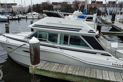 Sea Ray 300 Sedan Bridge