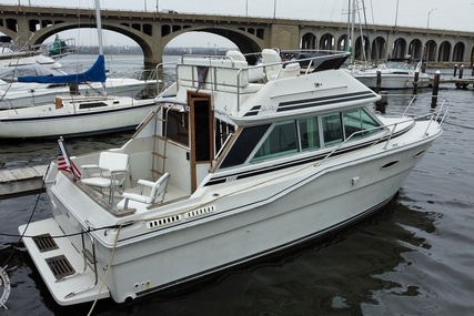 Sea Ray 300 Sedan Bridge