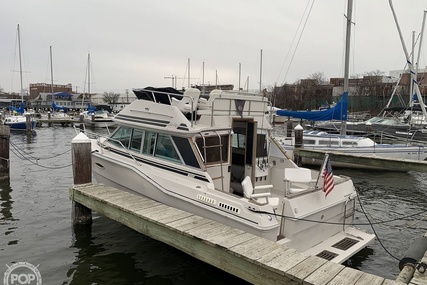 Sea Ray 300 Sedan Bridge