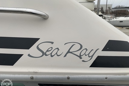 Sea Ray 300 Sedan Bridge