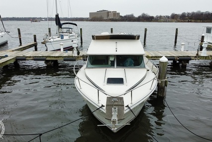 Sea Ray 300 Sedan Bridge