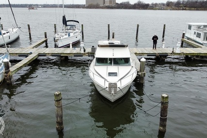 Sea Ray 300 Sedan Bridge