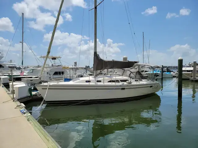 Catalina 350