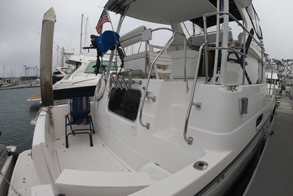 Bayliner 4087 Aft Cabin MY