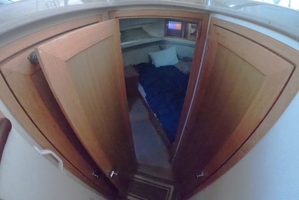 Bayliner 4087 Aft Cabin MY