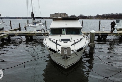 Sea Ray 300 Sedan Bridge