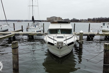 Sea Ray 300 Sedan Bridge