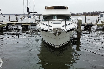 Sea Ray 300 Sedan Bridge