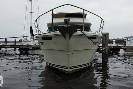 Sea Ray 300 Sedan Bridge