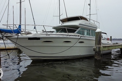 Sea Ray 300 Sedan Bridge